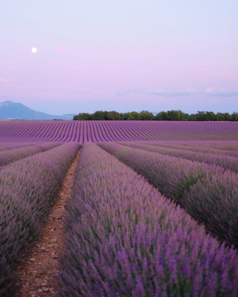 Our Guide to Provence | provencepoiriers.com